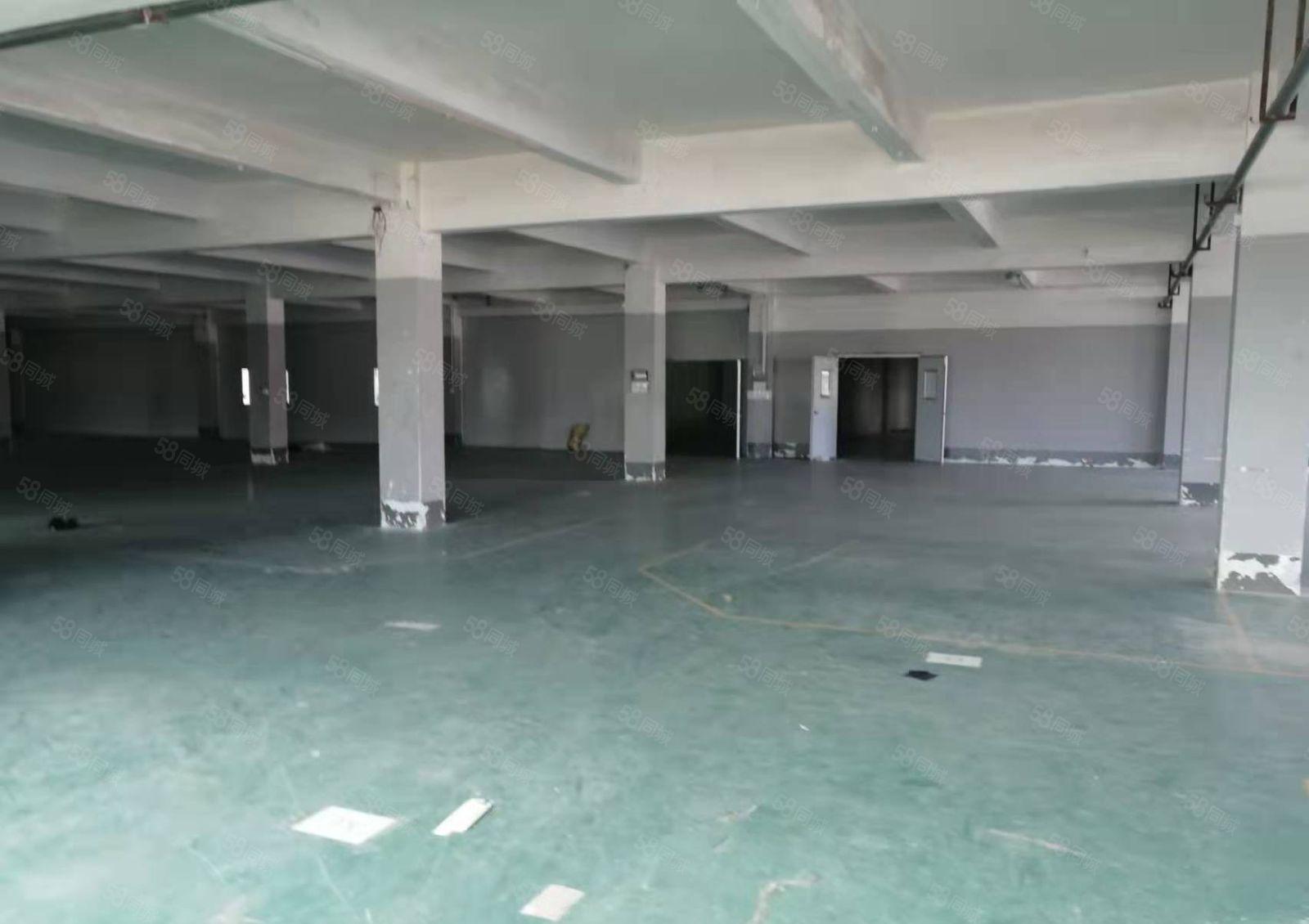 小金新出13块每平（原房东独院厂房）