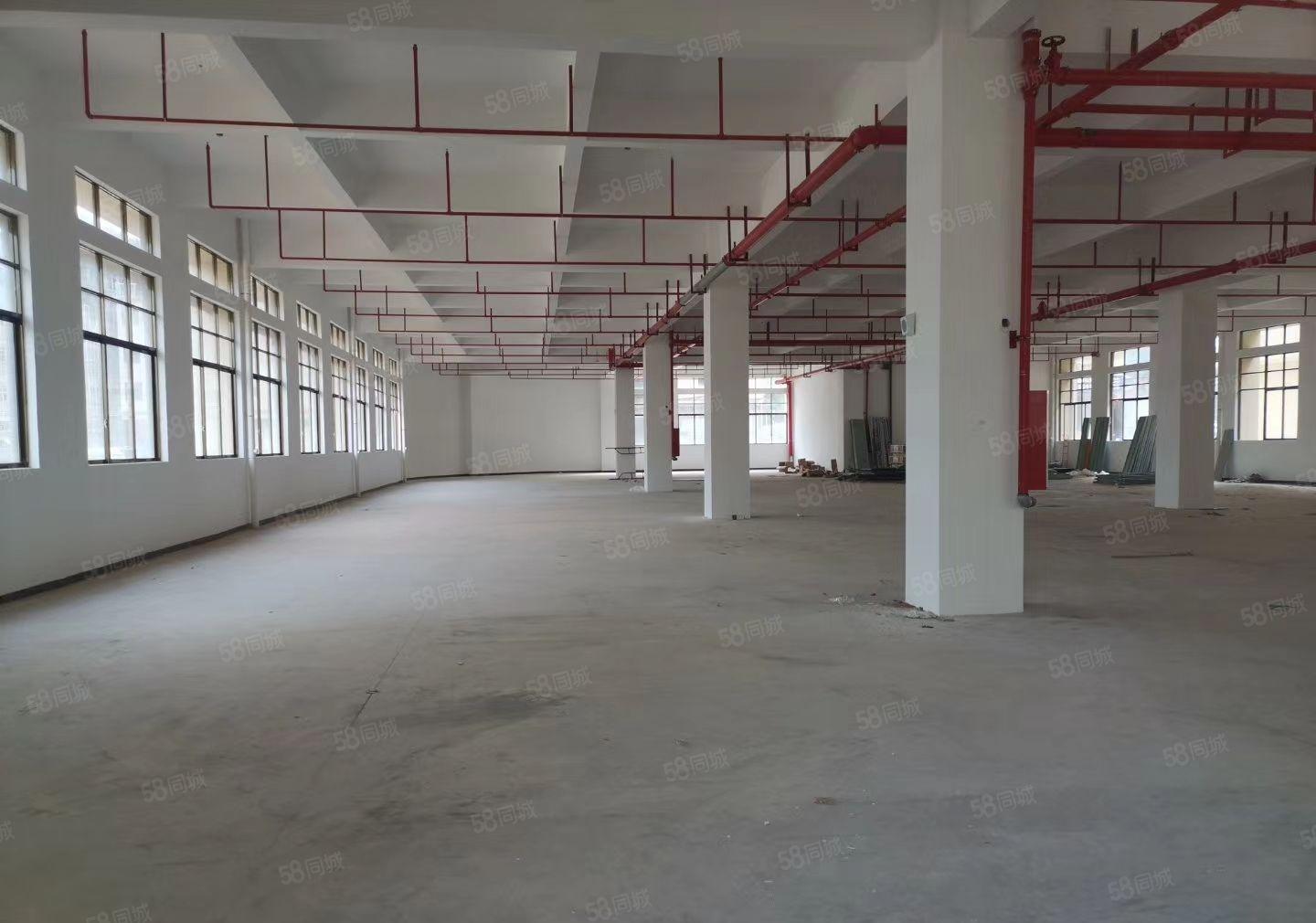 惠州市惠城区原房东独院标准厂房3万方，上市公司