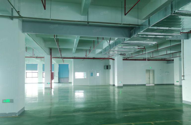 三栋镇数码园南区原房东3000平标准厂房仓库出租