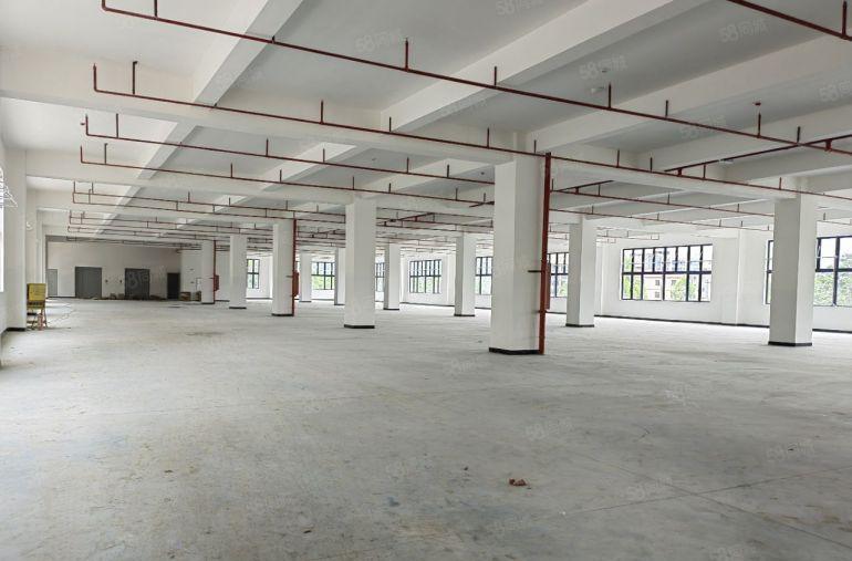 小金口金龙大道5000原房东全新红本厂房1000起分租