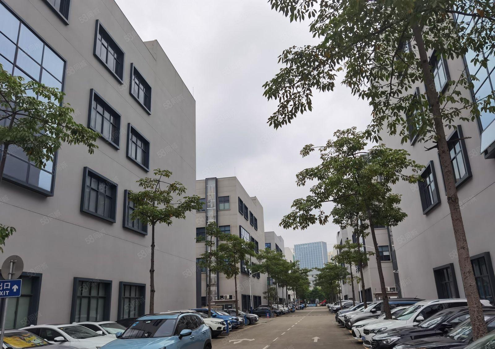 三栋数码工业园楼上带喷淋带装修1000平2000平米厂房出租