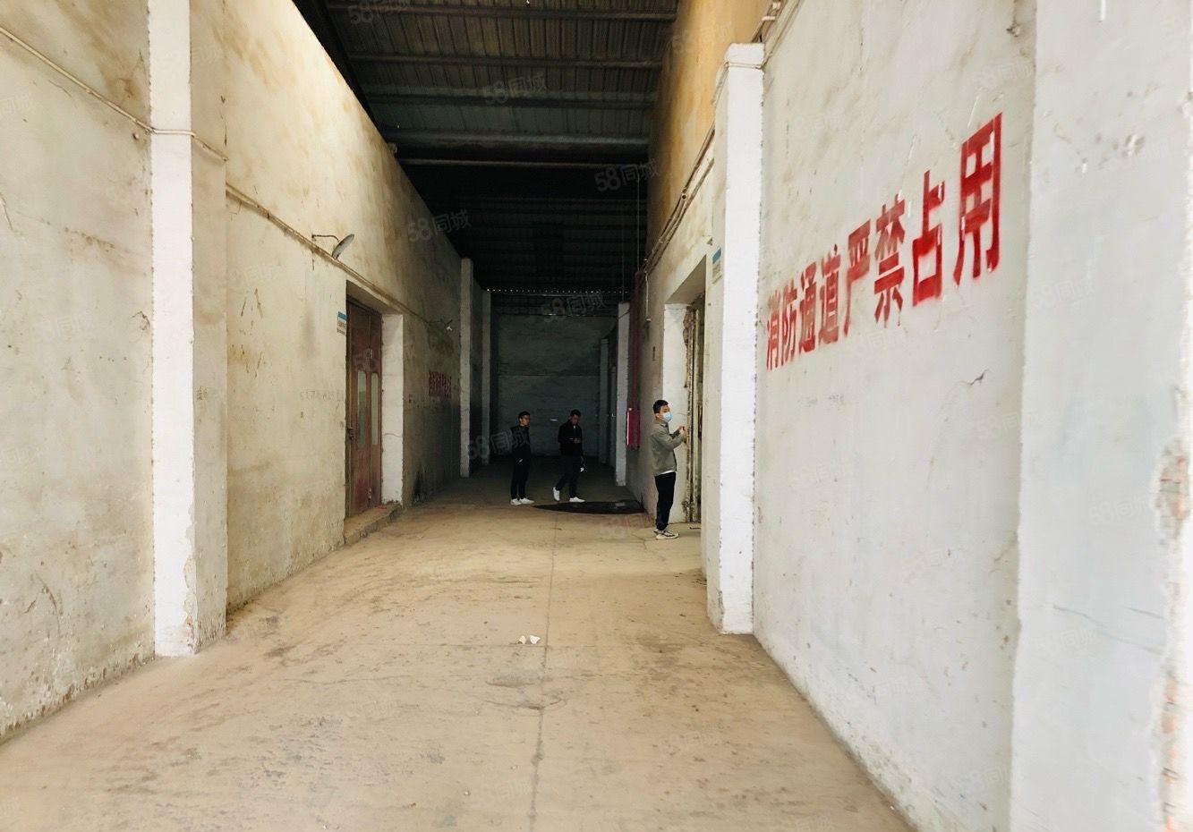 马安新乐路口1200平方钢构厂房出租门窗家具家装行业