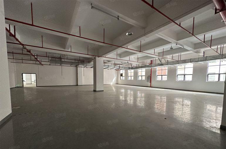 10元！惠城小金口厂房1000平带装修红本厂房低价出租可分租