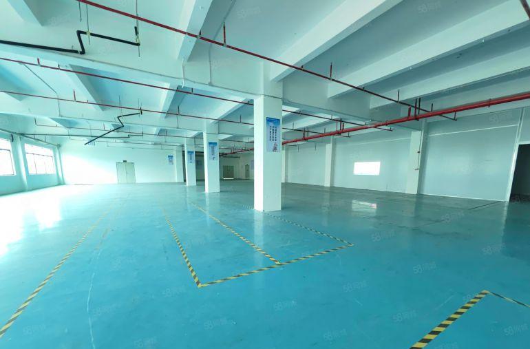 仲恺高新区9元全新红本精装修楼上厂房出租1680平方拎包入场