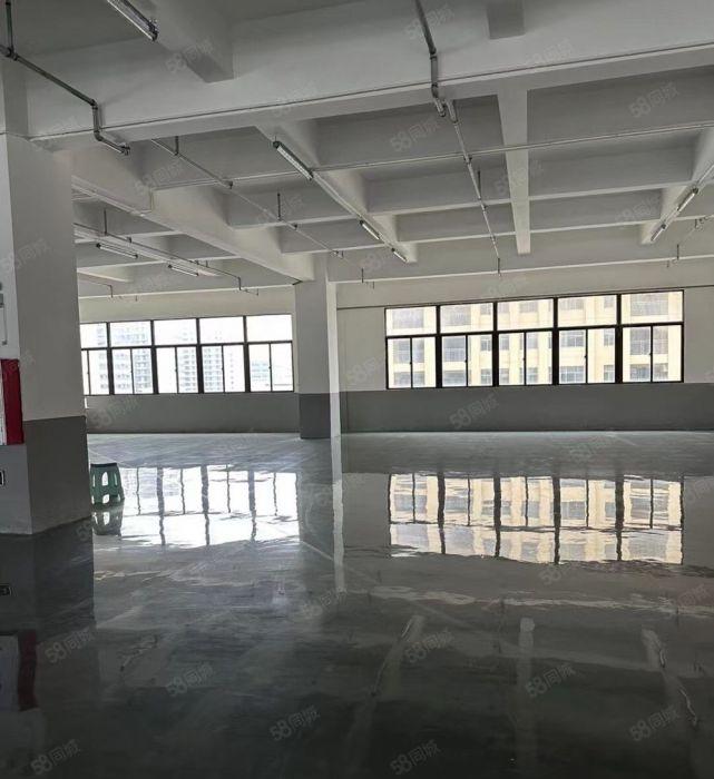 惠城区水口原房东5万平方科技园红本厂房招租