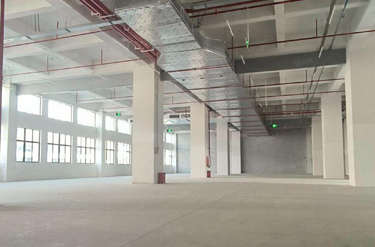 8 元！1000 平惠城东江实际面积原房东产业园厂房仓库出租