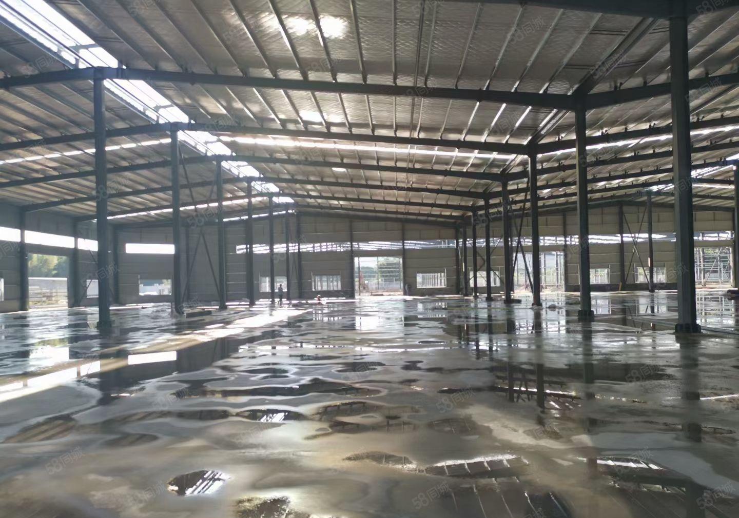 三栋镇独栋3800平红本钢构厂房滴水9米 可分租