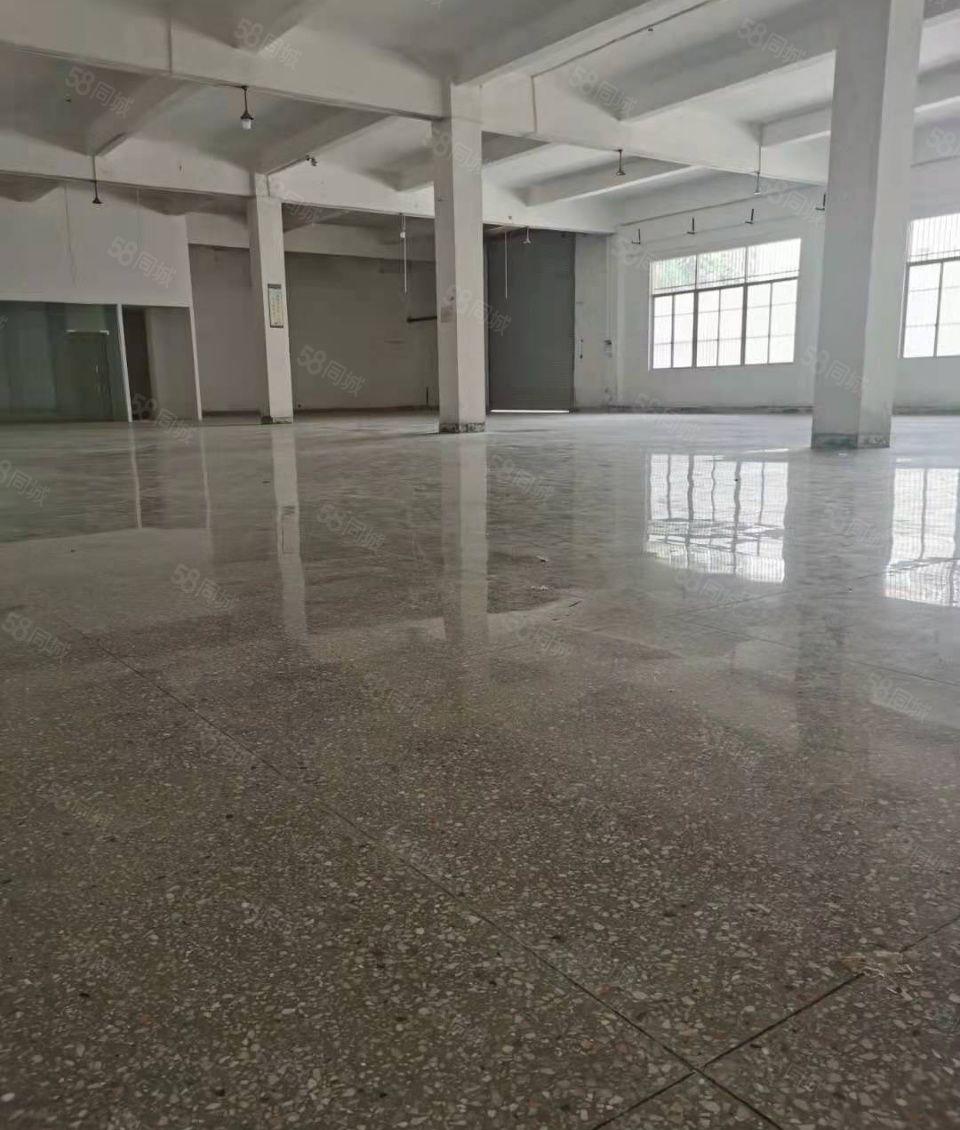 河南岸独院厂房出租二楼1500平方现成办公装修入住就可生产