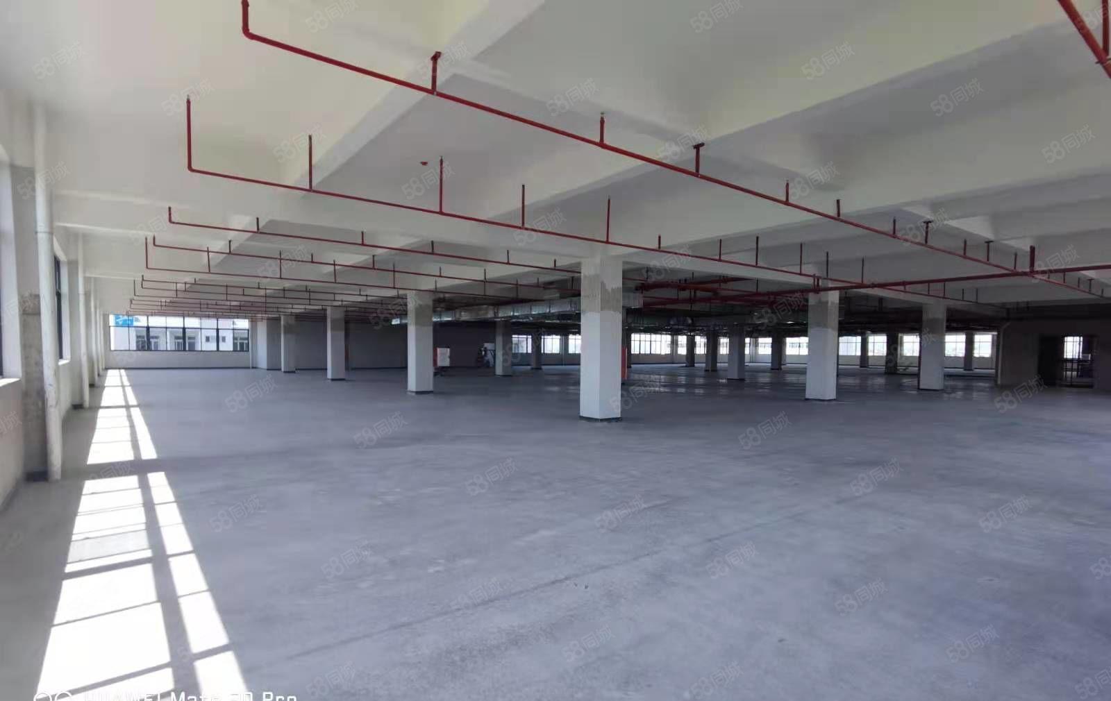 自有厂房招租，平潭怡发工业区全新工业园2000平起