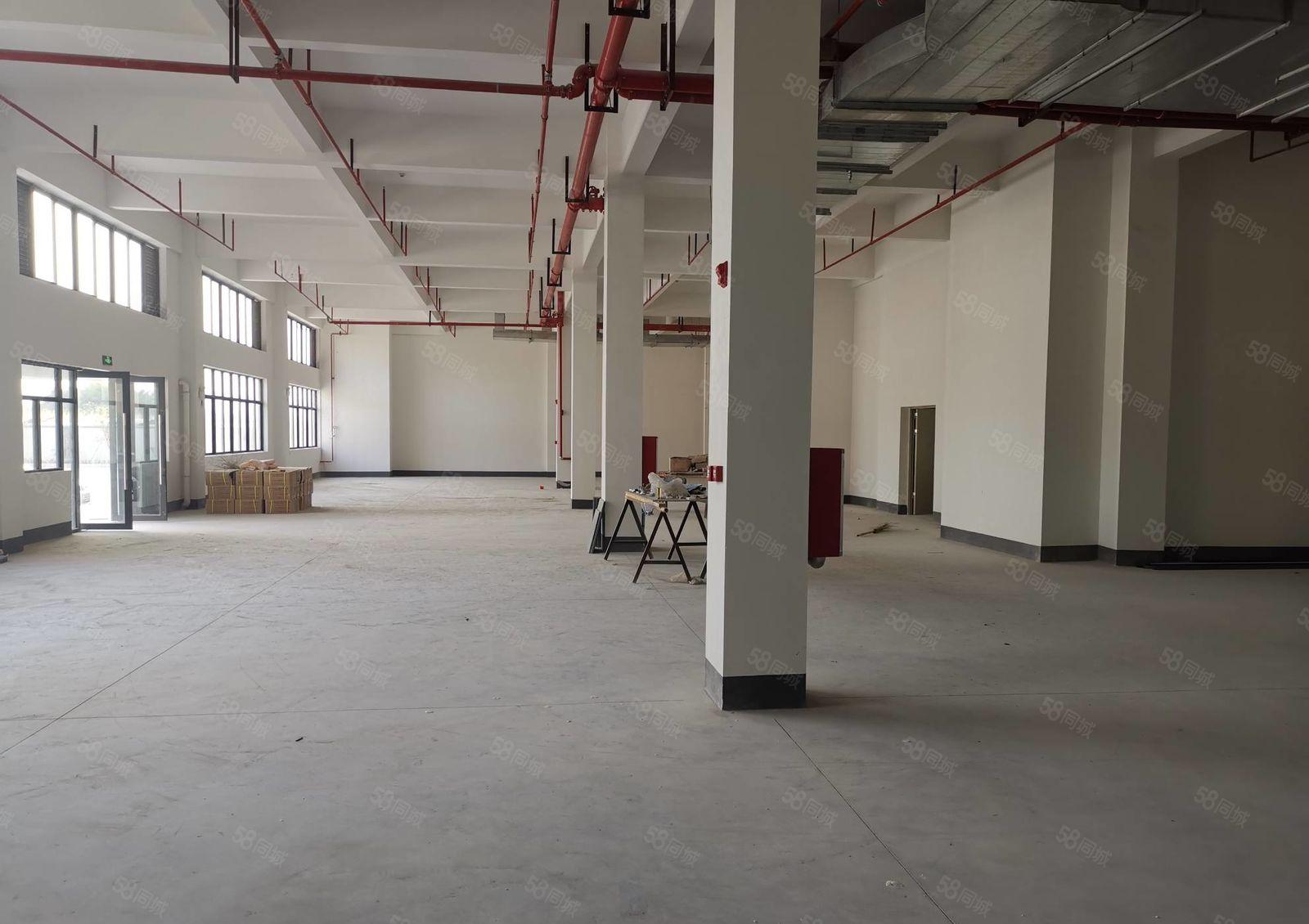 惠城区 三栋工业园全新标准厂房出租 1600平方 交通方便