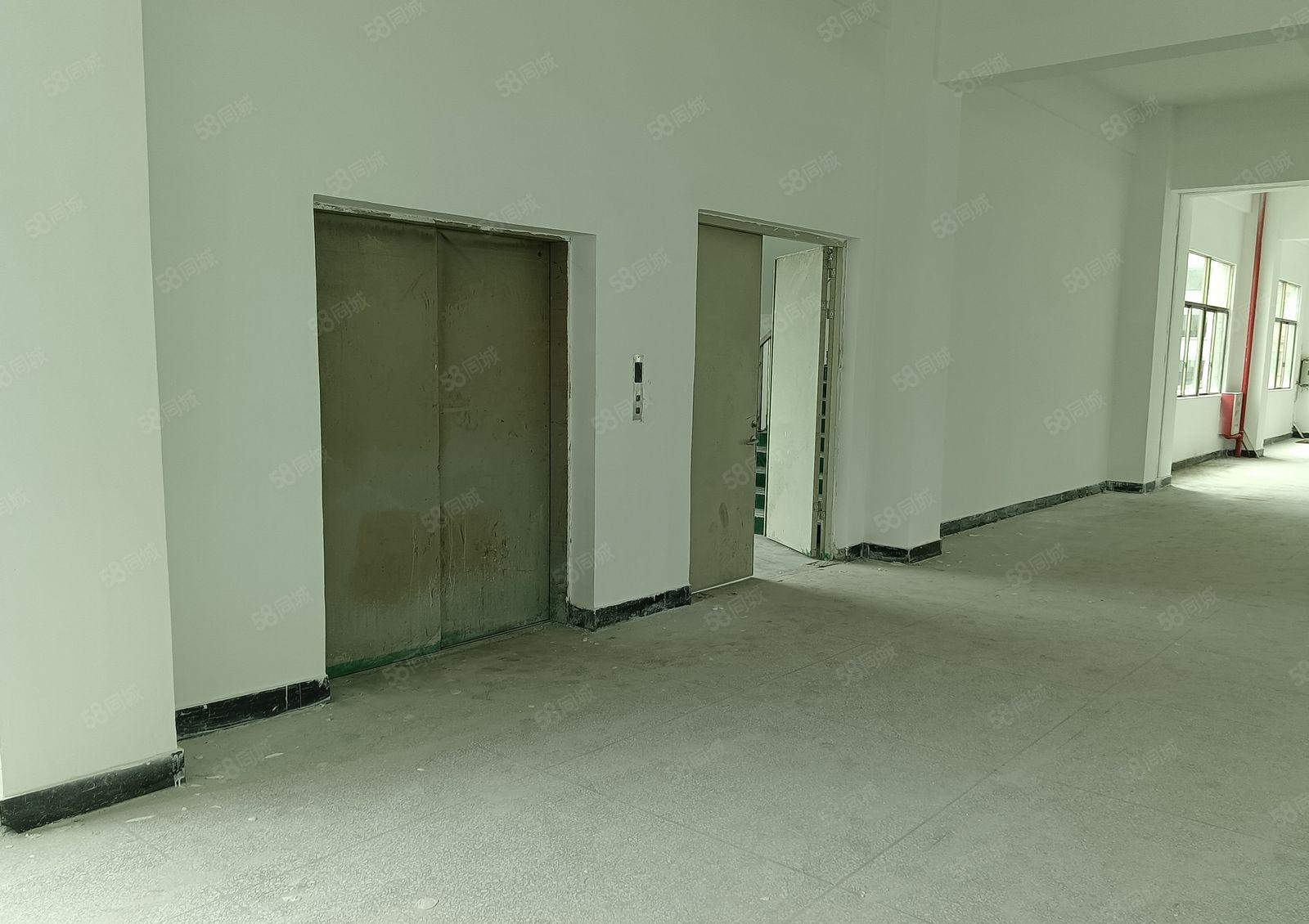 惠城区仍镇独门独院原房东红本全新厂房直租（可以包租）