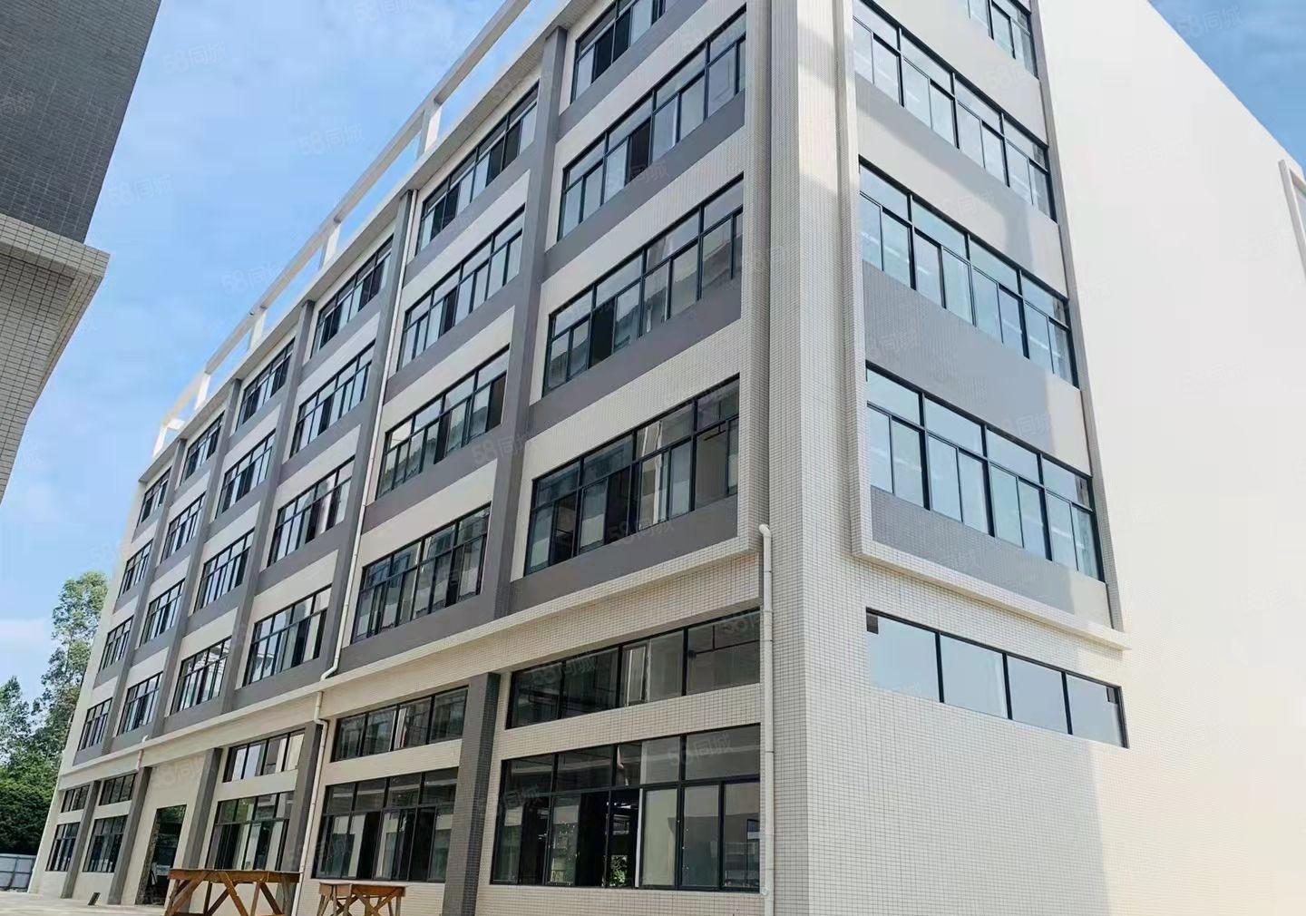 惠城区小金口全新厂房招租!