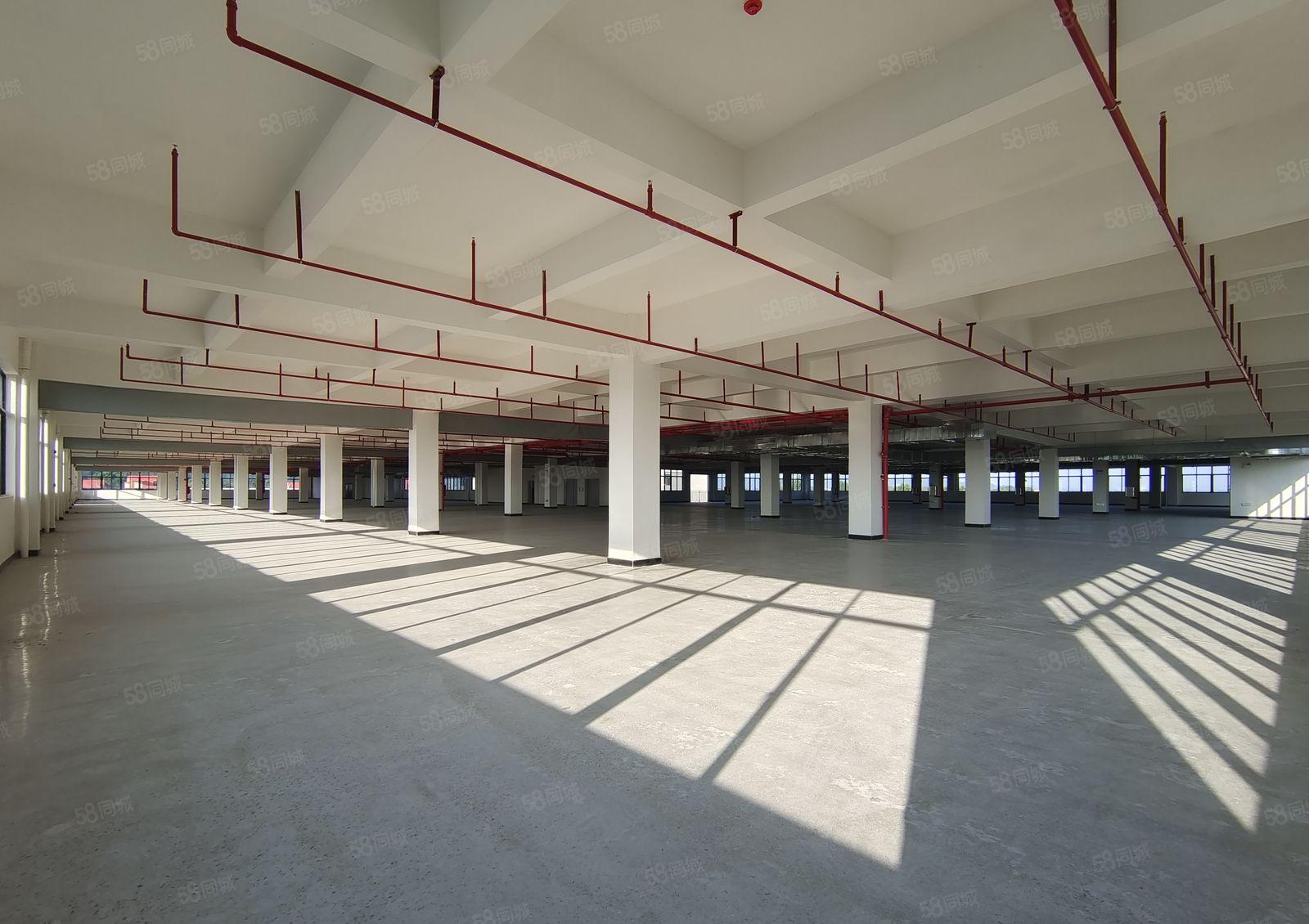 马安平潭全新红本工业园11元出租空地大好招工可办环评