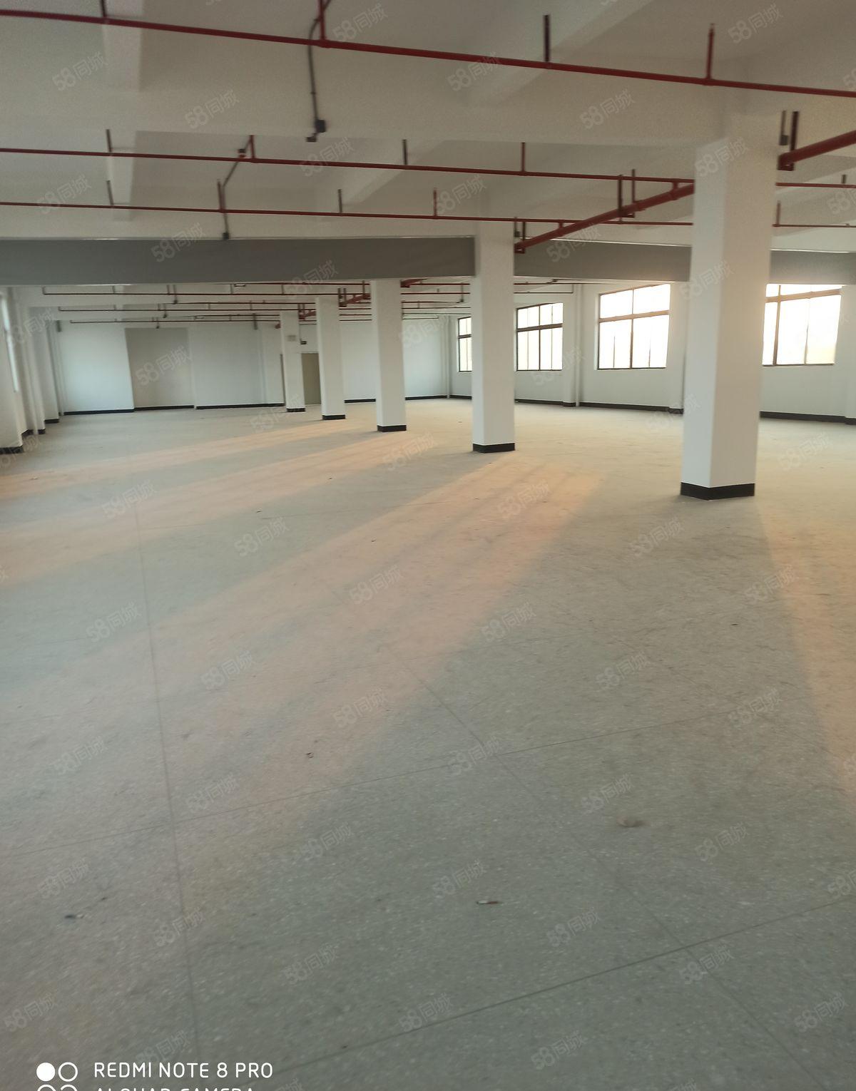 园区电梯带装修有530平860平1000平1350平1900