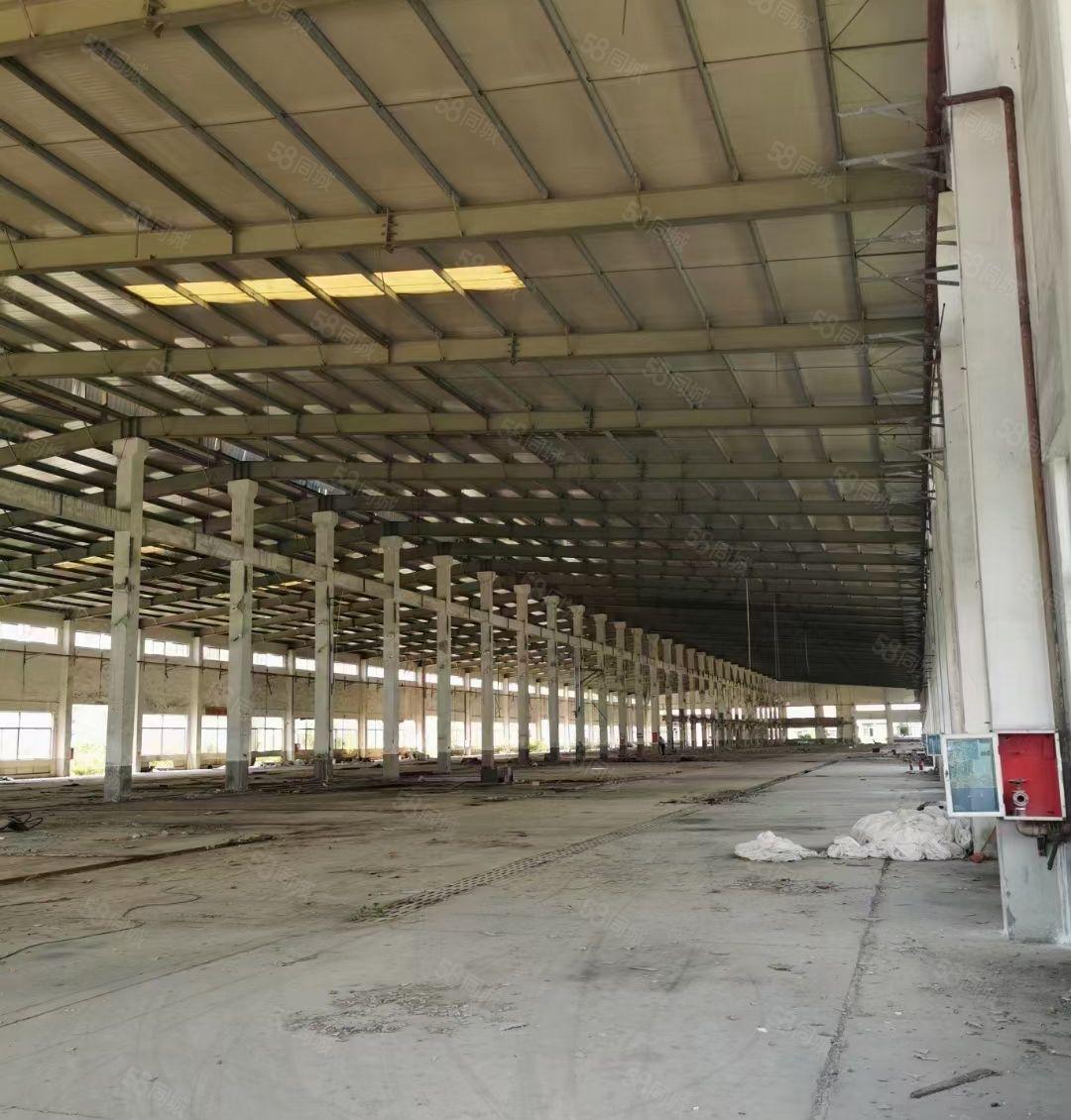 马安原房东独院钢构厂房8000平方出租