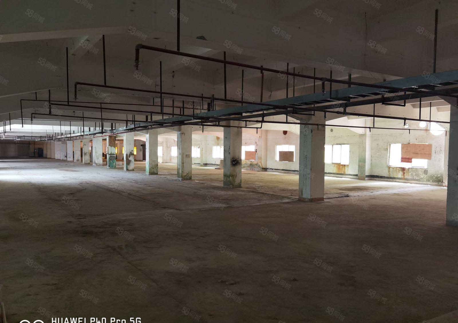 惠城区水口镇原房东自带化工证排污证线路板厂房业主直租