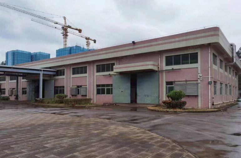 三栋新出单一层标准厂房9米高，带有现成的行吊