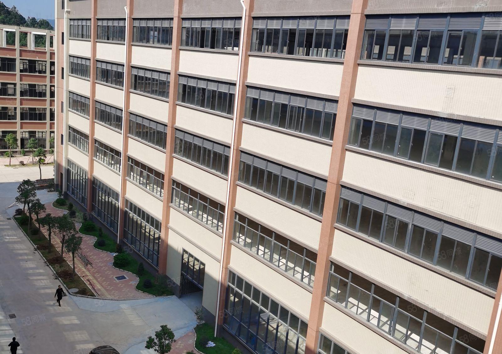 水口东江高新区原业主30000平出租