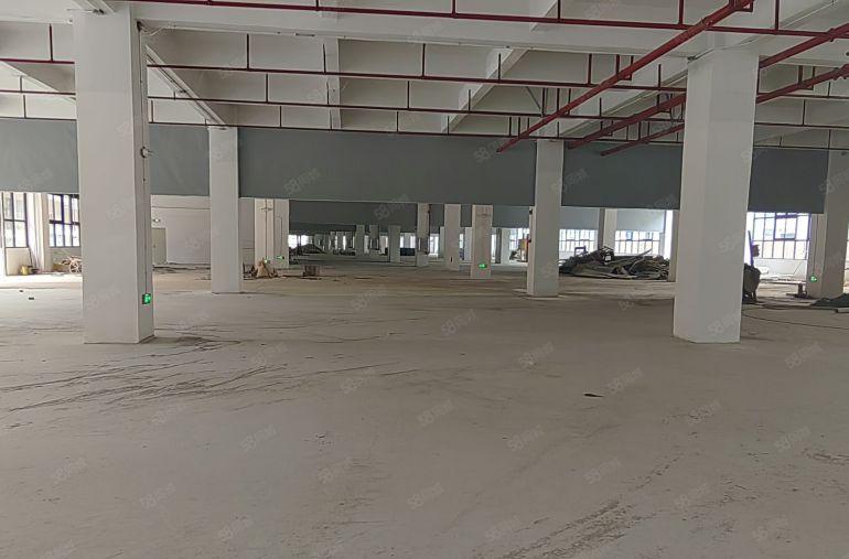 惠城水口7元起有牛角，1万平方独栋厂房，大小面积好分租