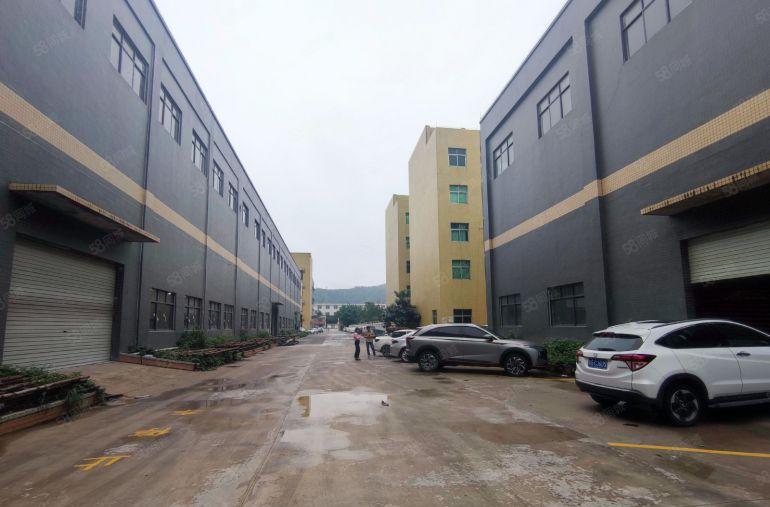 四角楼泰美独厂房出租院钢构1w平滴水15米带牛角位可分租