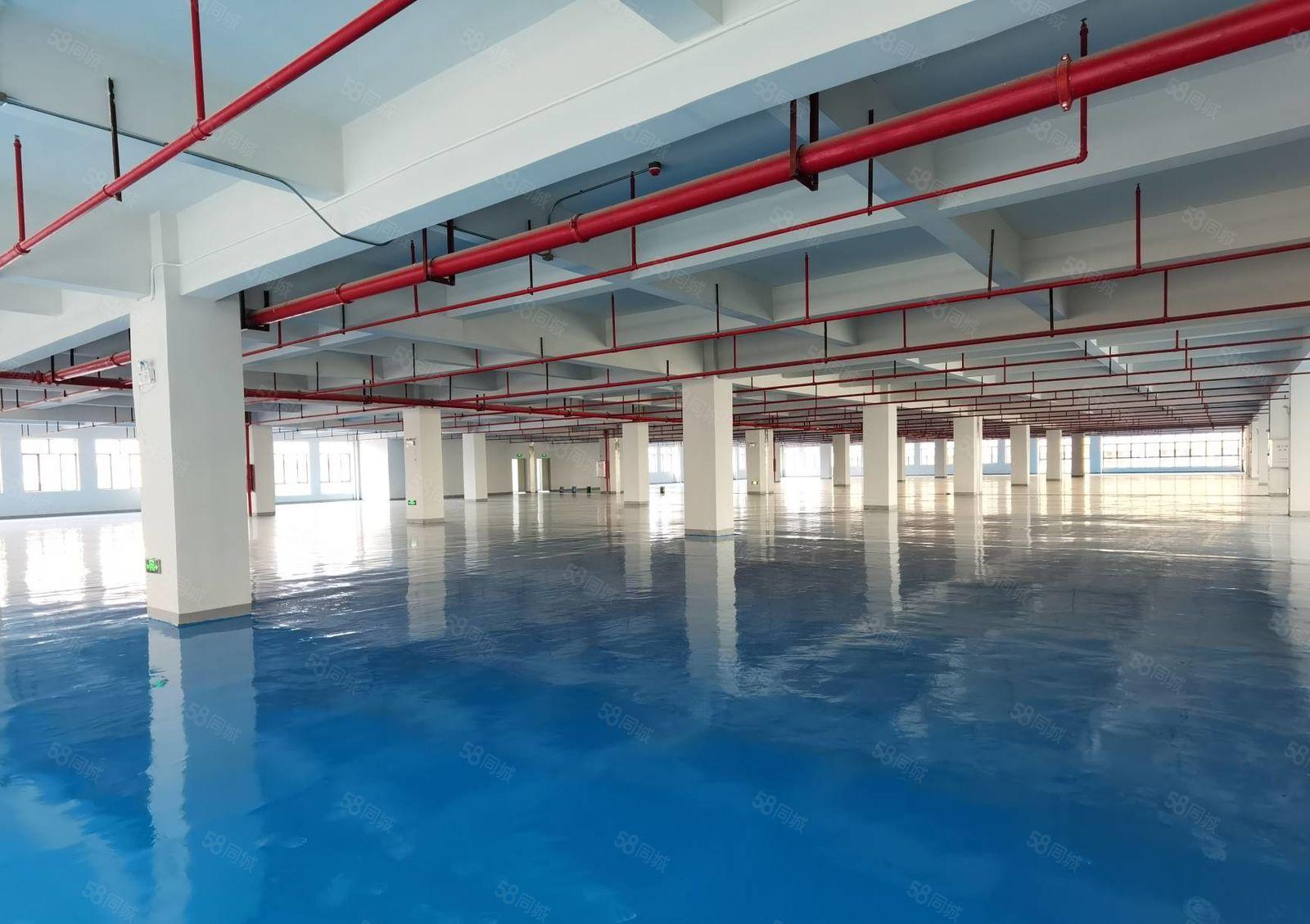 马安平潭怡发工业区全新厂房四楼1500平米 9.5元出租