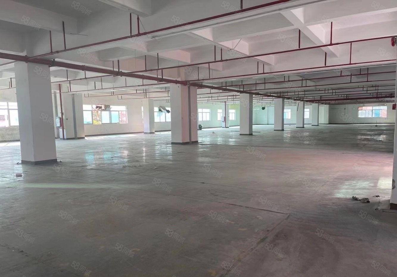 水口荔枝城工业区870平方标准厂房，租金10元证件齐全