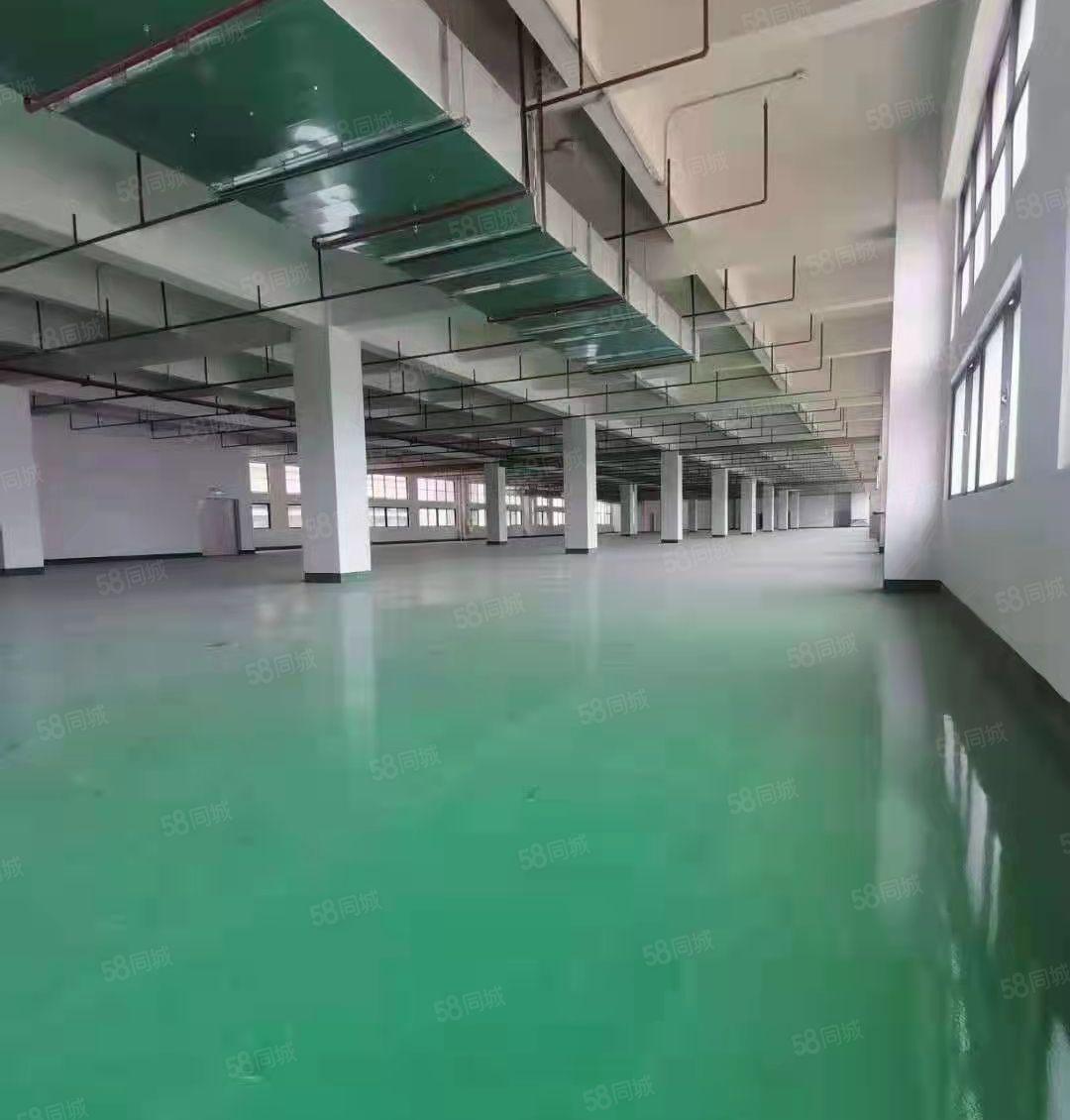 惠城区小金口附近工业区空出原房东2350平方标准无尘车间出租