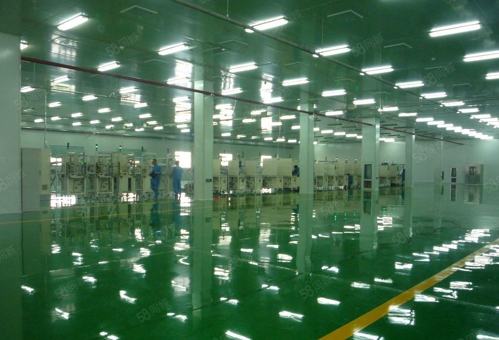 消息小金口附近刚刚腾出无尘车间厂房！！共4700平方