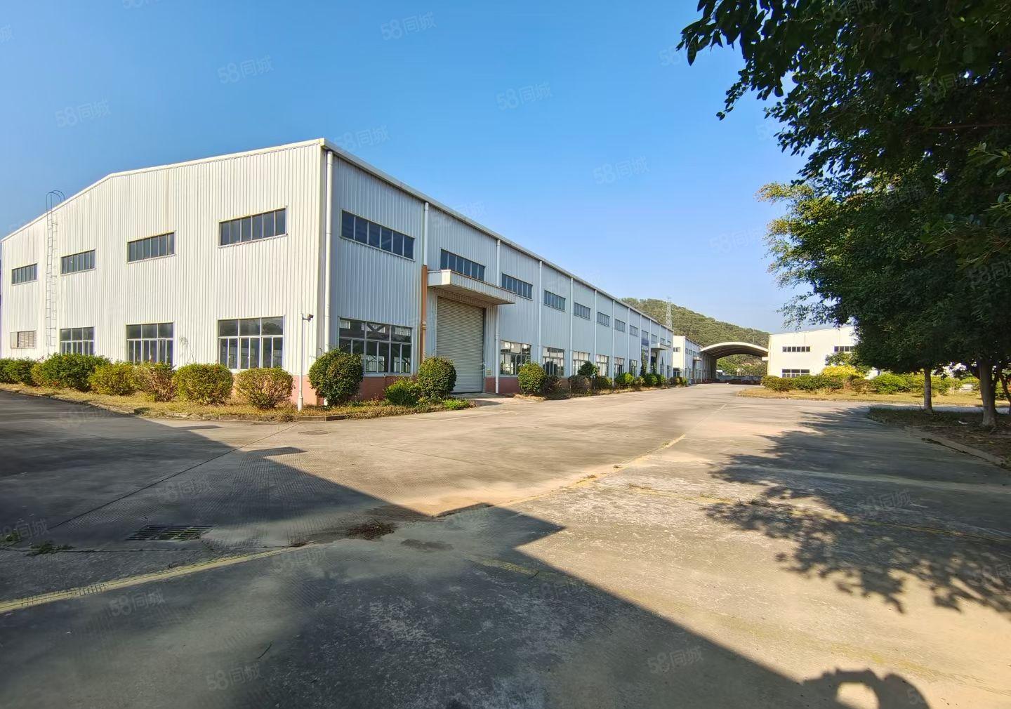 惠城区水口单一层约22000平方花园式钢构厂房招租