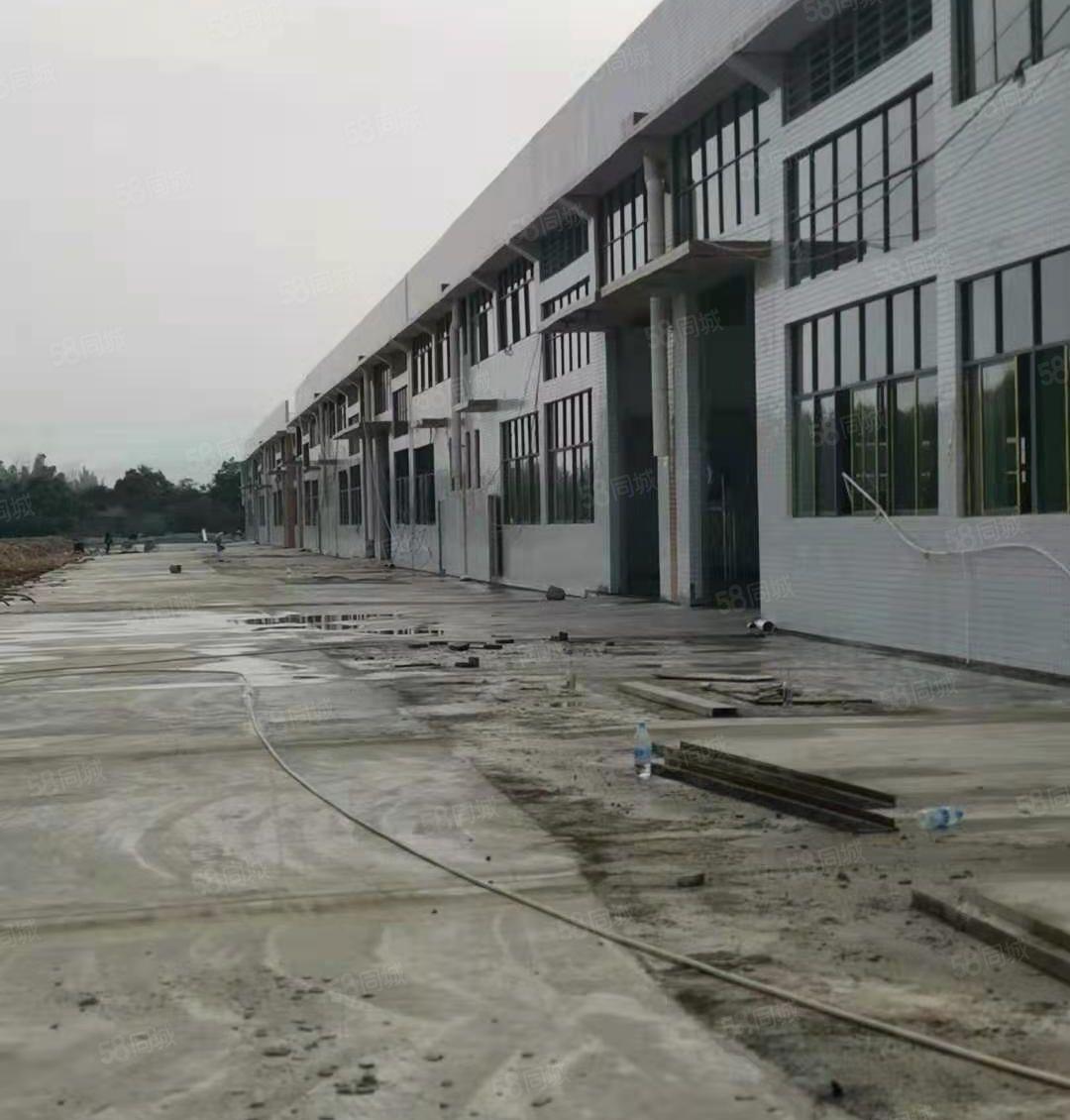 惠城区小金原房东单层钢构厂房2000平方出租