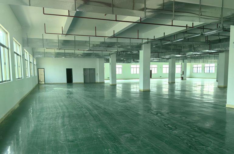 小金口8元厂房出租，独栋4层6000平，货梯5吨2部