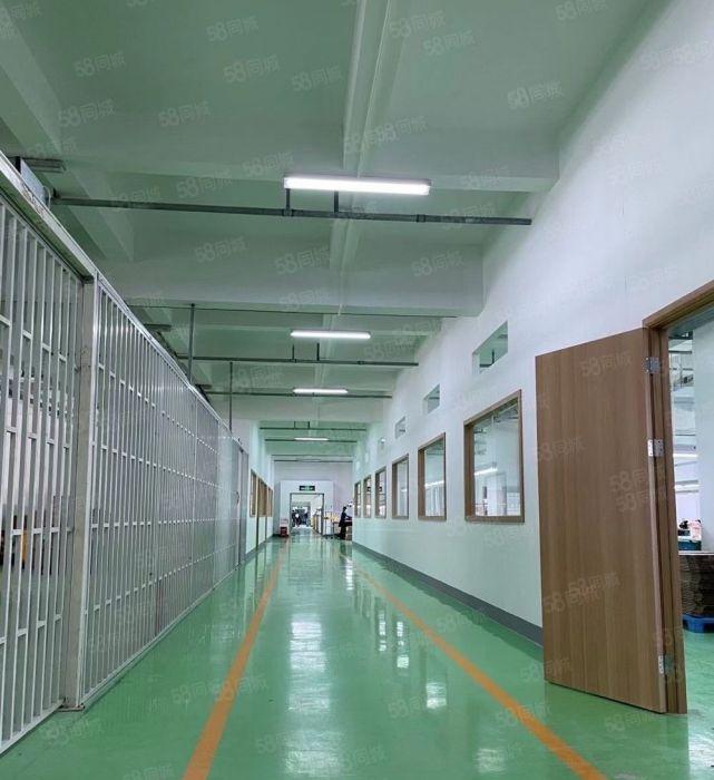 马安镇低价厂房出租原房东直租带地坪漆无需装修直接入驻配大货梯