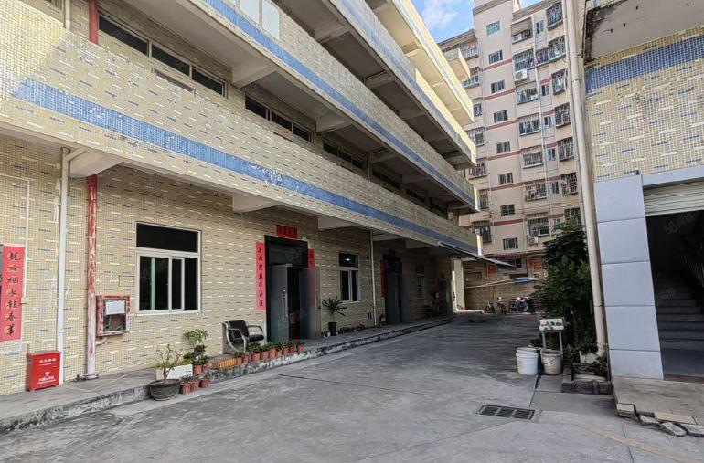 惠城区河南岸800平低价精装修厂房出租超大空地实际面积出租