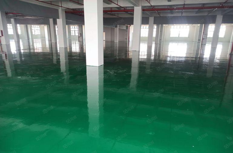 原房东全新厂房出租送地坪漆