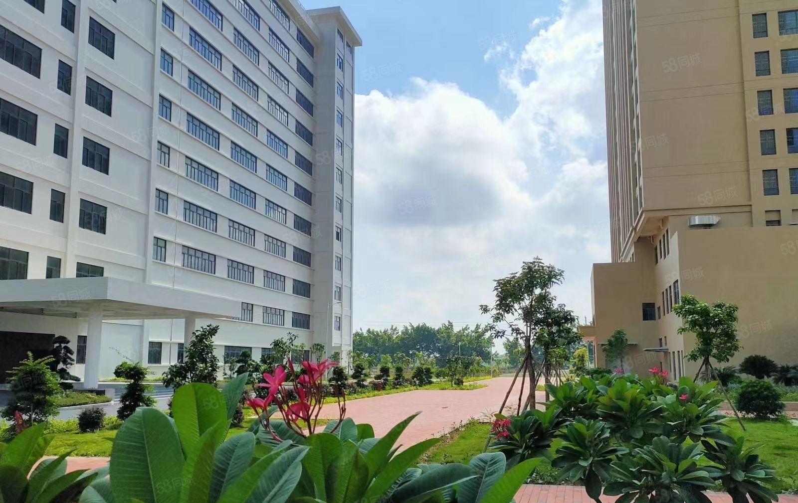 水口花园式大型产业园红本厂房招商，大小可分，园区配套齐全