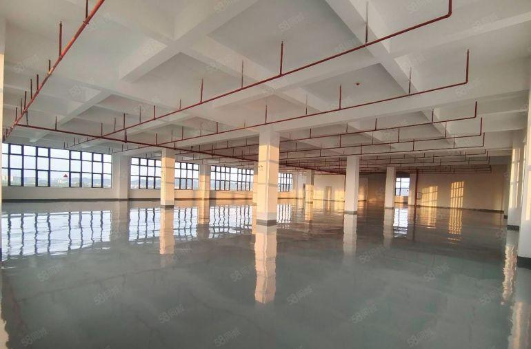 10元原房东全新厂房出租，马安新乐新厂房1300平方现成装修