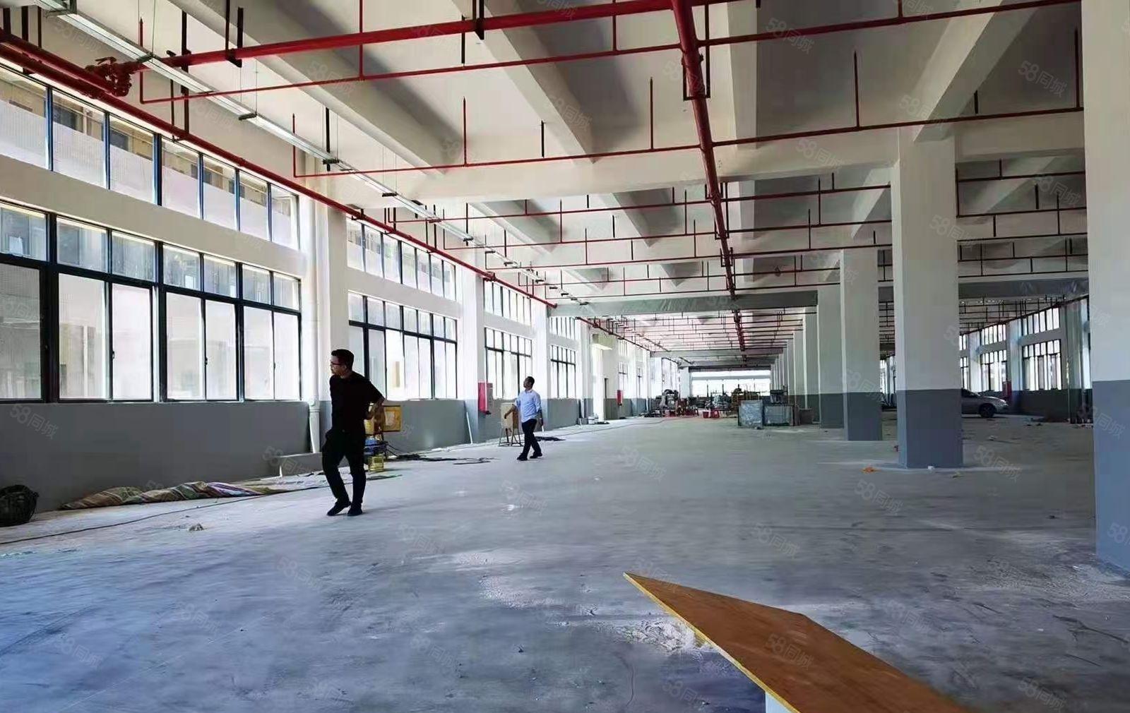 马安镇 全新一二楼单层2600平红本重工业厂房出租