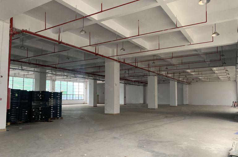 惠城东江高新区水口厂房出租，享受高新区政策补贴，属仲恺高新区