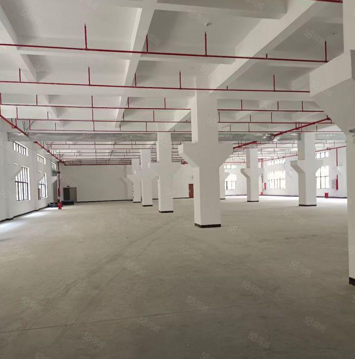 靓水口新出全新7.5万平米厂房招租（可分租）