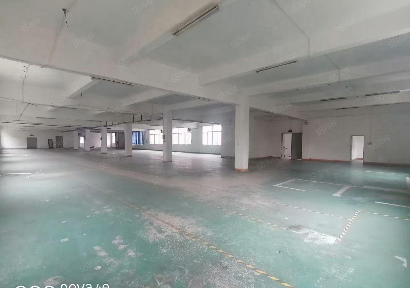 惠城区小金口原房东2楼1300平方无尘车间（无公摊）