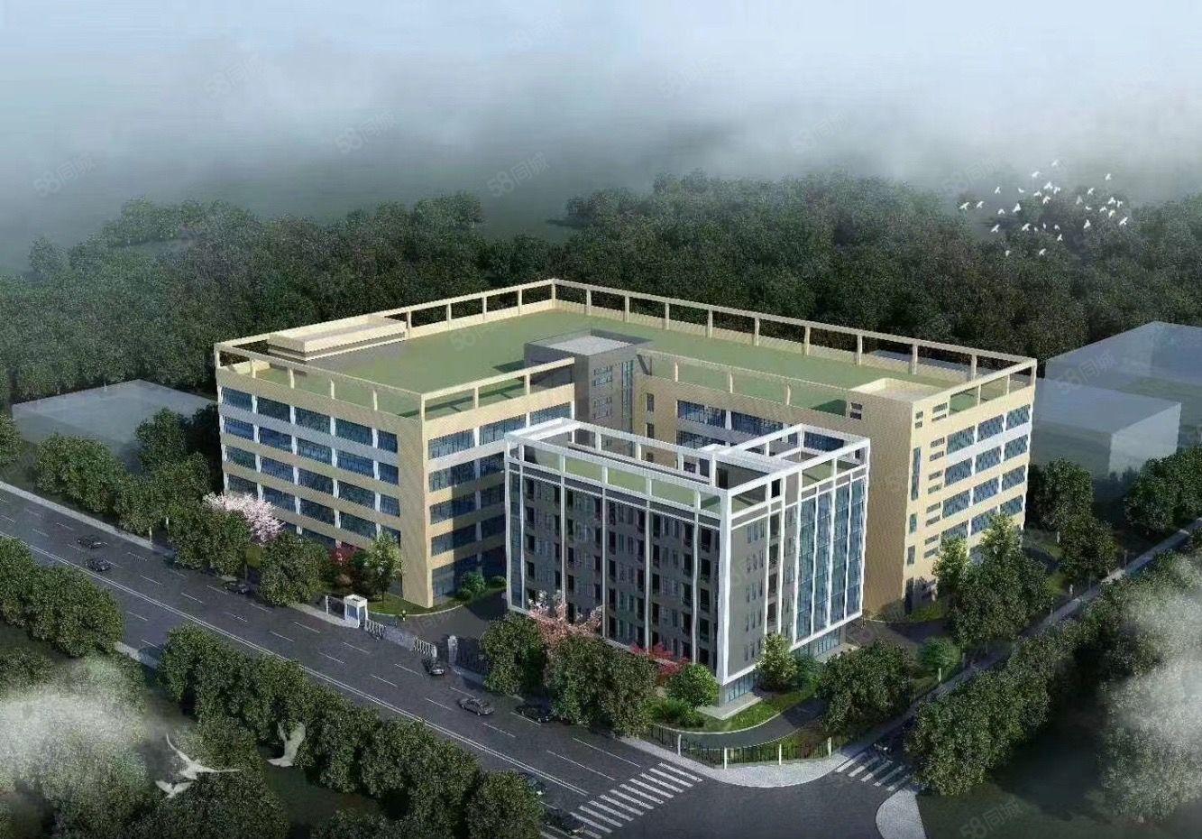 惠州平潭怡发工业区11块钱每平米全新红本厂房大小可分租。