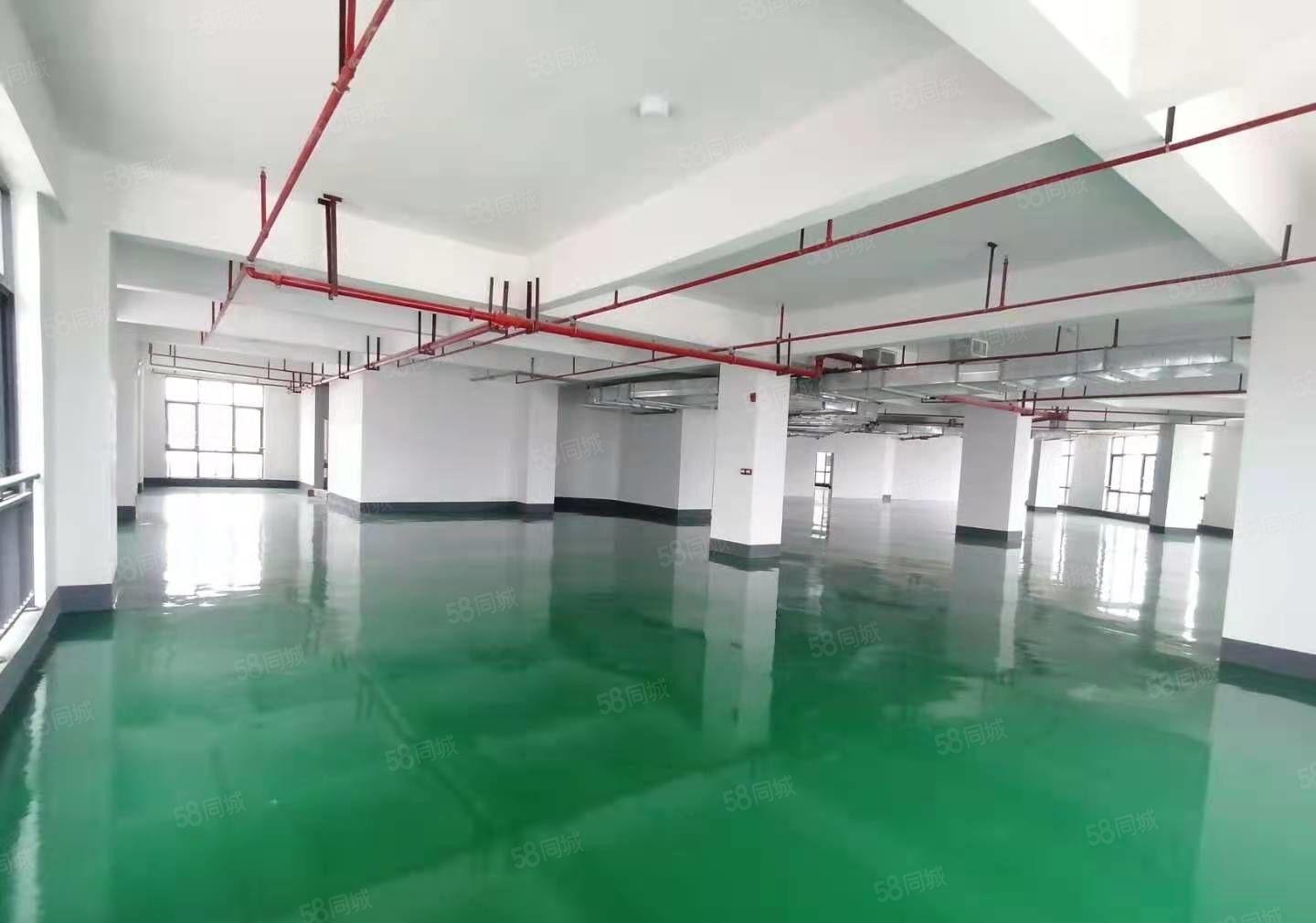 马安产业园 新空出780平全新装修厂房  形象佳