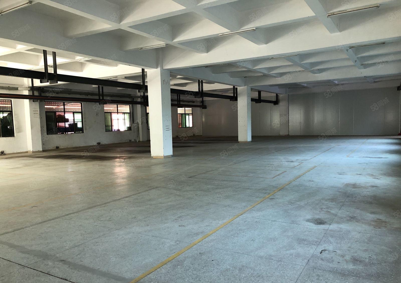 水口标准厂房一楼1700平方米6米高