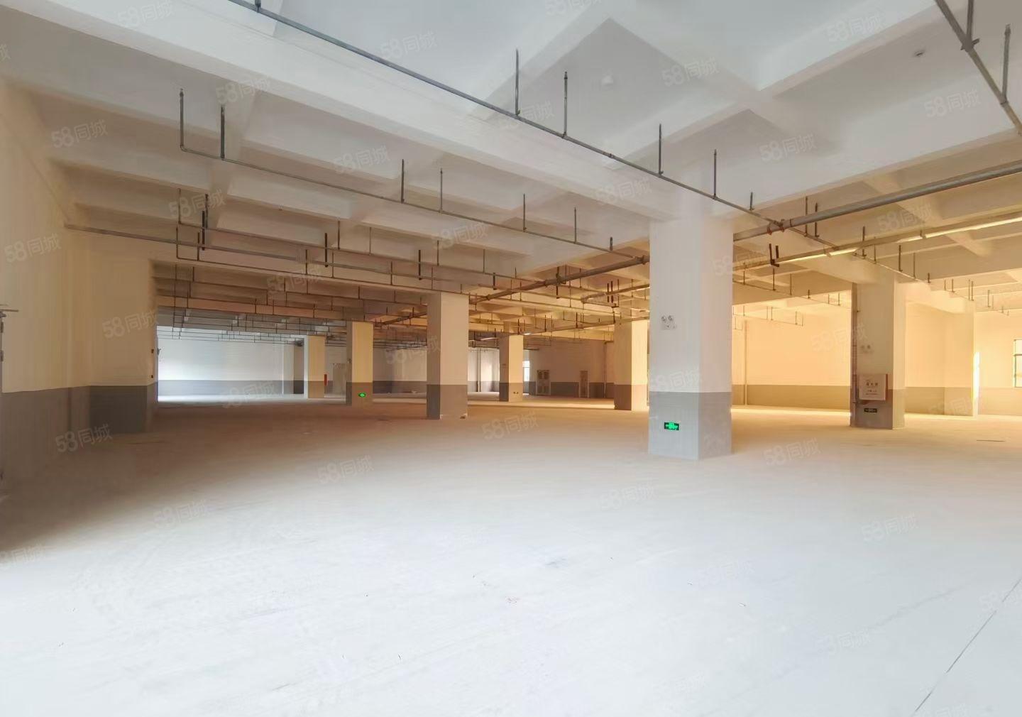 三栋1600平一楼，证件齐全，配电按需，好招工