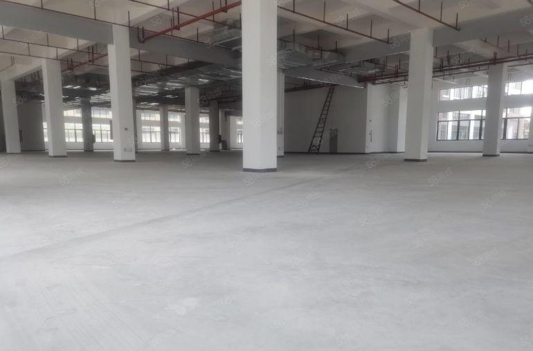 马安独门独院厂房出租