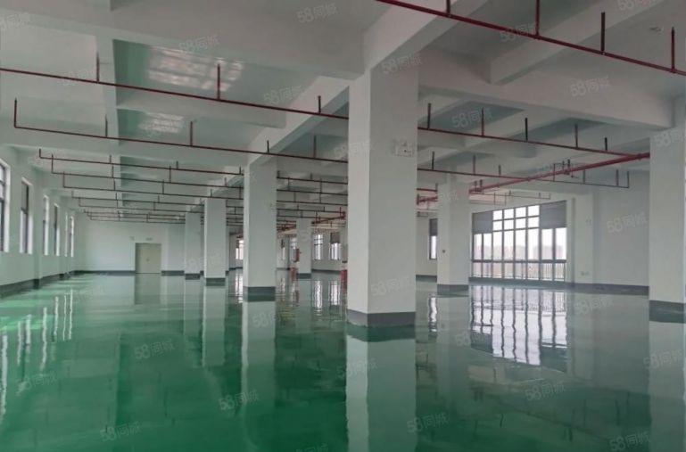 10块！三栋1500平精装修原房东厂房仓库出租有红本可分租