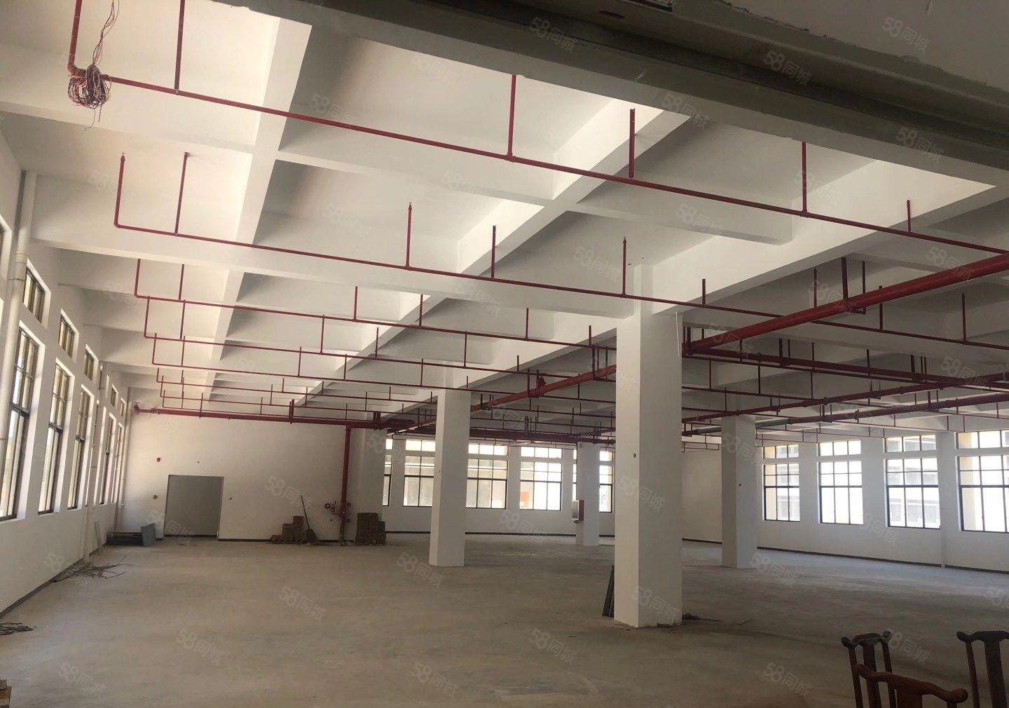 三栋镇全新红本厂房1550平方 租金10元 可分租