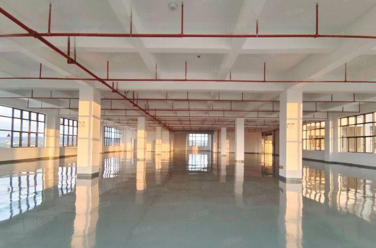 10元原房东全新厂房出租，马安新乐新厂房1300平方现成装修