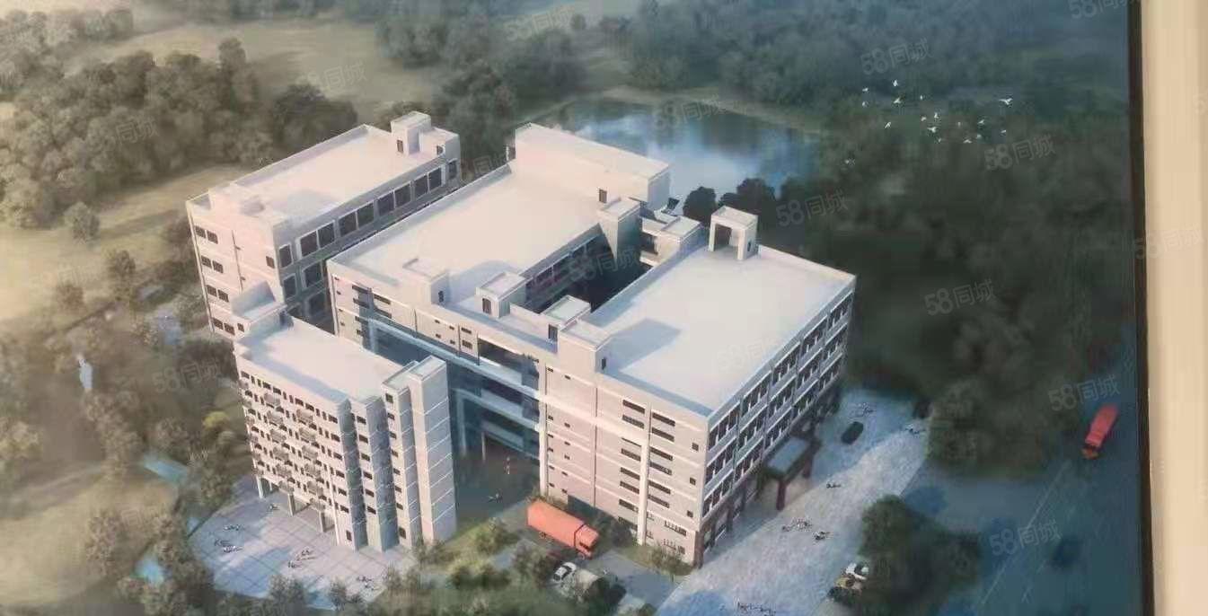 惠城区原房东独院厂房12000平方出租，面积无公摊14