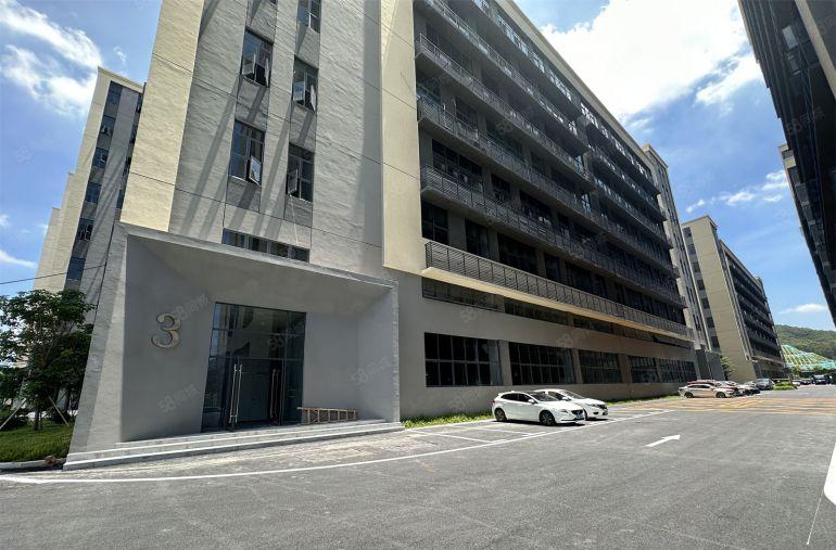 惠城小金口厂房900平电商办公室仓库带装修可分租原房东